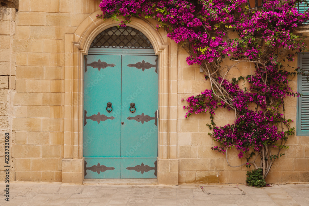 Ancient maltese house with blue wooden door and pink bougainvillea in the wall - obrazy, fototapety, plakaty 