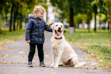 Portrait of cute adorable little Caucasian baby boy sitting with dog in park outside. Smiling child holding animal domestic pet. Happy childhood concept