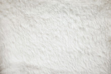 Close Up Furry White Cloth Texture.
