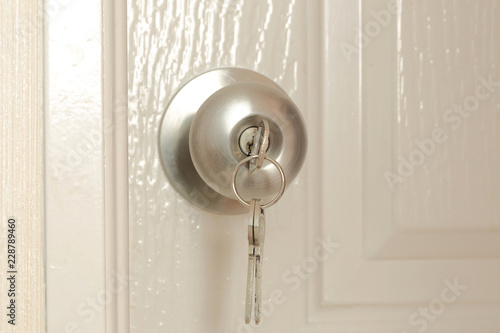 Key Insert For Unlock In Stainless Steel Round Ball Door