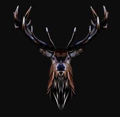 Wall Mural - Low poly triangular deer head with horns on dark background, vector illustration EPS 10 isolated.  Polygonal style trendy modern logo design. Suitable for printing on a t-shirt.