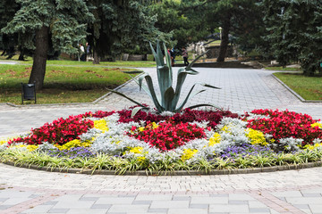 Canvas Print - flowerbed on Lenin Square in Pyatigorsk city