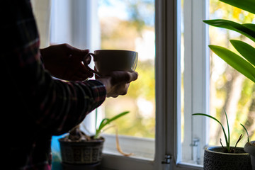 Wall Mural - close up hands colding coffee cup in the morning near window f