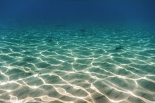 Sandy Sea Bottom Underwater Background