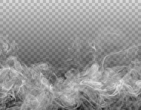 Vector realistic smoke on the transparent background.
