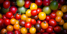 Different Colorful Cherry Tomatoes At Organic Farmers Market In Provence, France. Vignette.