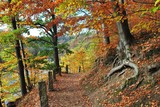 Fototapeta Fototapety z widokami - Pejzaż jesienny