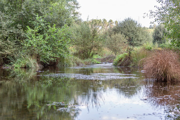 Landscape, river on the mountains