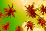Fototapeta Mapy - Coconut palm trees - Tropical summer beach holiday, Color fun tone