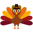 Vector illustration of a thanksgiving turkey
