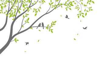 beautiful tree branch with birds silhouette background for wallpaper sticker