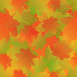 Vector seamless background: a lot of maple autumn leaves