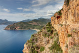 Fototapeta Krajobraz - Paysages de Corse-Golfe de Porto-Route vers Calvi
