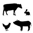 © majivecka - Vector silhouette of farm animal on white background.
