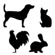 © majivecka - Vector silhouette of farm animal on white background.