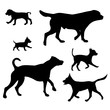 © majivecka - Vector silhouette of dog set on white background.