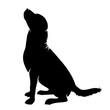 © majivecka - Vector silhouette of dog on white background.
