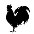 © majivecka - Vector silhouette of rooster on white background.