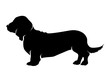 © majivecka - Vector silhouette of dog on white background.