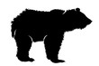 © majivecka - Vector silhouette of bear on white background.