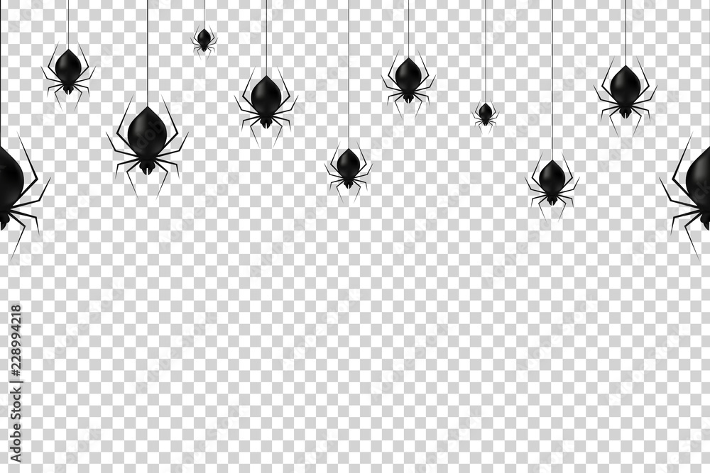 Vector realistic isolated hanging spiders seamless pattern for ...