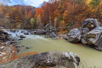 Wall Mural - mountain river