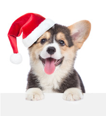 Poster - Corgi puppy in red christmas hat over white banner. isolated on white background