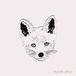 Red fox vector illustration