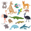 Australian animals vector animalistic character in wildlife Australia kangaroo koala and shark illustration set of cartoon wild wombat platypus and emu isolated on white background