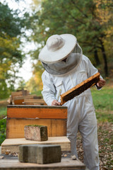 Poster - Imker beim kontrollieren der Bienen im Herbst