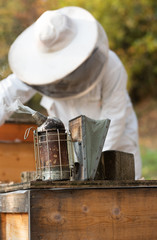 Poster - Imker beim kontrollieren der Bienen im Herbst