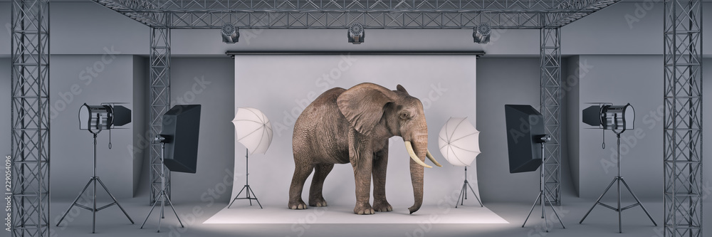 photo studio with elephant. 3d rendering - obrazy, fototapety, plakaty 