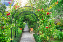 Arched Entrance With Roses