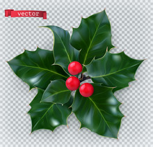 Holly Traditional Christmas Decoration. 3d Realistic Vector Icon