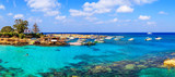 Fototapeta  - A view of a azzure water and Nissi beach in Aiya Napa, Cyprus