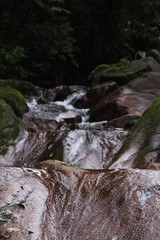 waterfall in forest