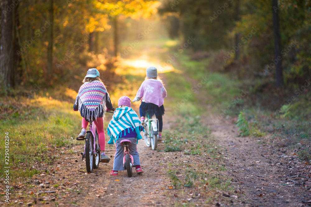 Dzieci na rowerach w jesiennym lesie - obrazy, fototapety, plakaty 