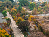 Fototapeta  - autumn suburb