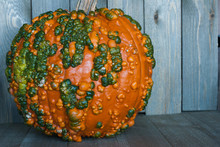Orange Pumpkin With Green Bumps On A Wood Background