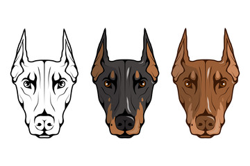 doberman pinscher, american doberman, pet logo, dog doberman, colored pets for design, colour illustration suitable as logo or team mascot, dog illustration, vector graphics to design