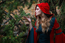 A Witch In A Medieval Dress With A Red Hood In A Mystical Spruce Forest.