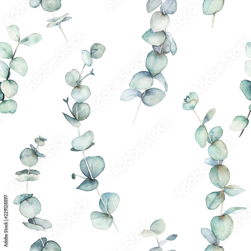 Watercolor seamless pattern with eucalyptus branches . Hand drawn illustration