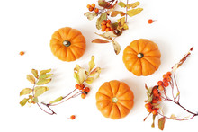 Autumn Frame Made Of Little Orange Pumpkins, Rowanberries And Colorful Leaves Isolated On White Table Background. Fall, Halloween And Thanksgiving Concept. Styled Stock Photography. Flat Lay, Top View
