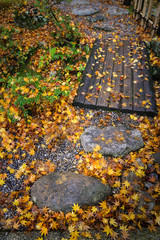 Wall Mural - Fallen maple leaves on the walkway around Nara Park, Japan