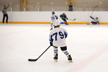 Sport for Kids. Young ice hockey players. Play in hockey.