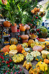 France, Paris, île de la ville, 5 octobre 2018: marché aux fleurs - reine elizabeth II 