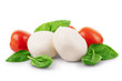 Mozzarella cheese with cherry tomatoes and basil on a white background