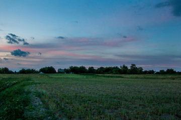 evening landscape