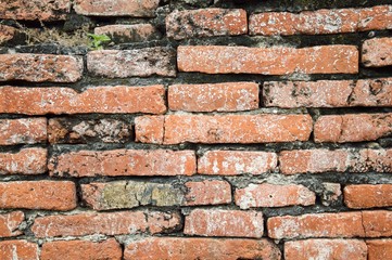 old brick wall texture for background