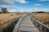 Fototapeta Dziecięca - Boardwalk path through coastal meadow area. Boardwalk in Parnu coastal meadow hiking trail. Estonia. Baltic.